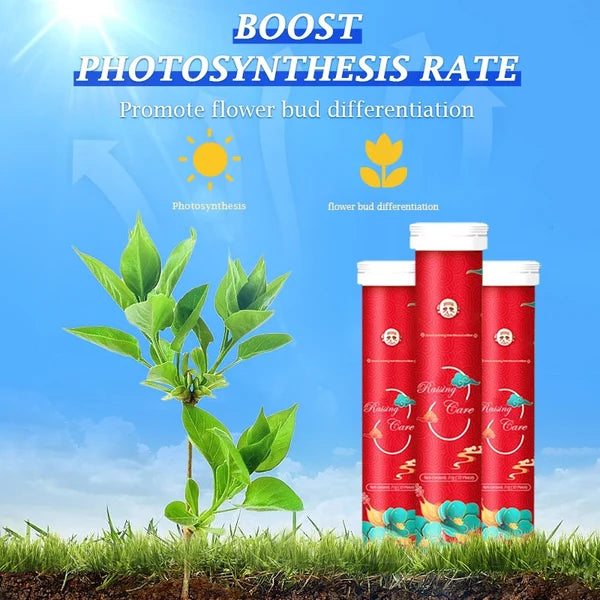 A bottle of nutritional tablets Novice turns into a master gardenel🔥🔥🔥
