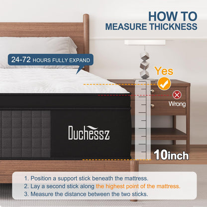 Hybrid Mattress 10 Inch, Queen Mattress with Gel Memory Foam and Individually Pocket Innerspring Euro Top Mattress