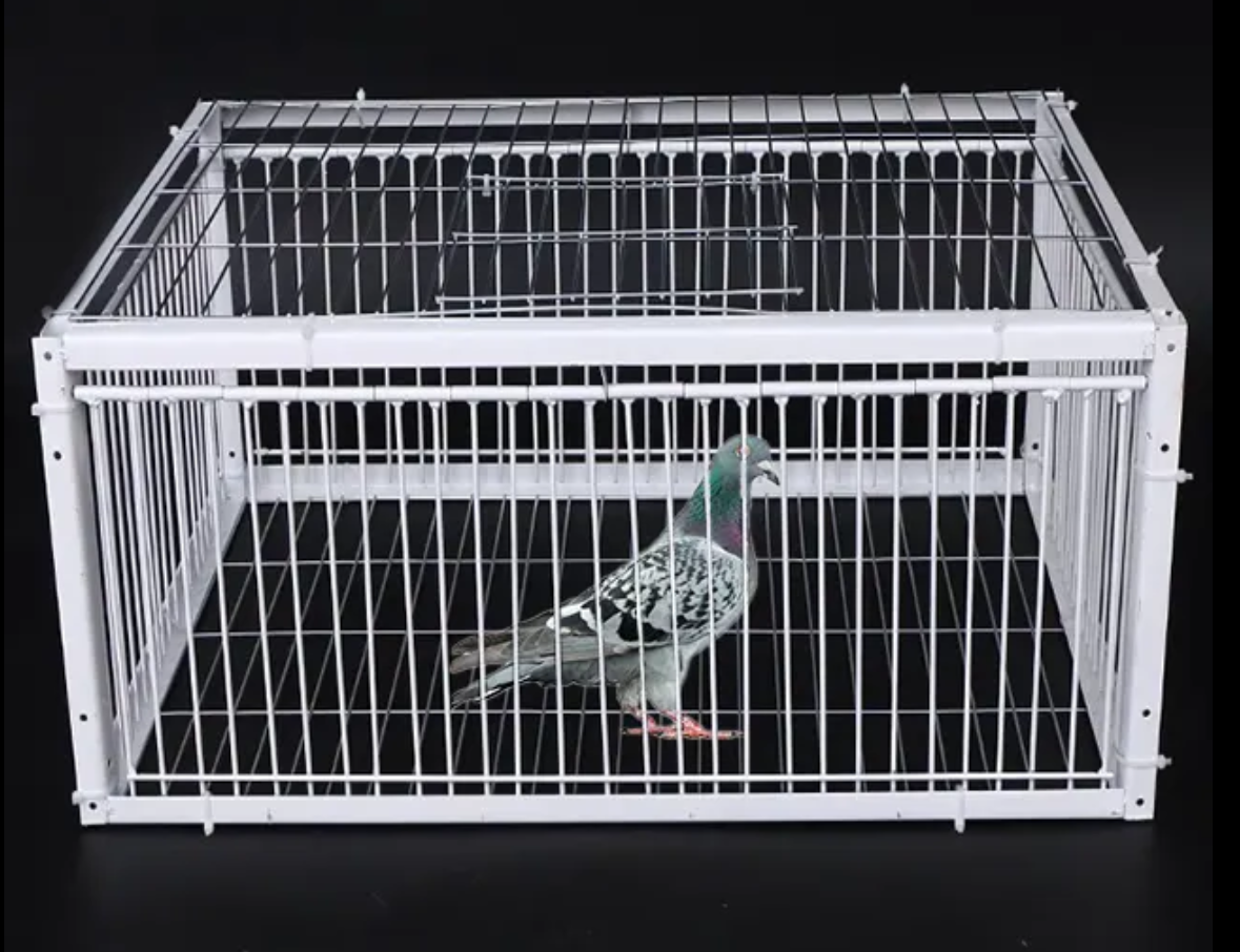 Auto Trap Bird Cage Rabbit Cage Mouse Cage Entry Only and No Exit Thickened and Encrypted Automatic Pigeon Collecting Tool