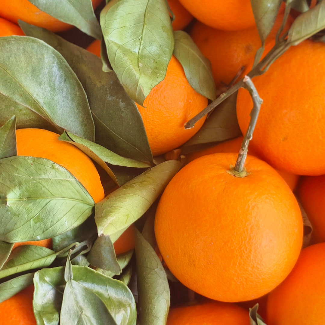 Orchard Harvest Rock Sugar Orange 5kg Box Fresh Fruit For Household Consumption