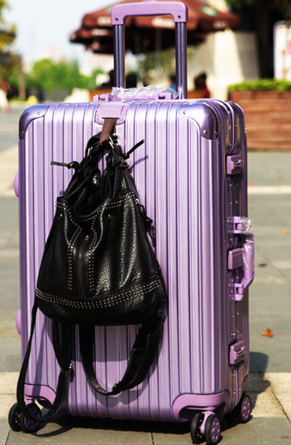 24-inch Amethyst Luggage: Large Capacity, High Toughness & Shatter Resistance, Silent Spinner Wheels, TSA Customs Lock, Multi-stage Telescopic Pull Rod